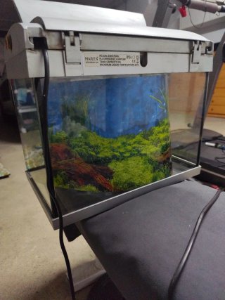 Acuario de 20 litros aprox. Modelo Hailea