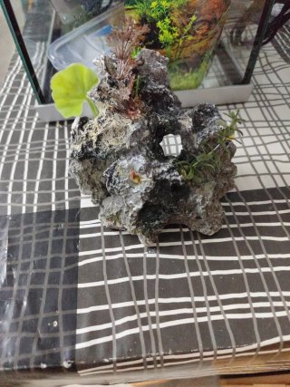 Acuario de 20 litros aprox. Modelo Hailea