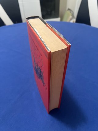 Libro Puertas de Fuego