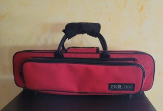 Funda para flauta Pro Tec