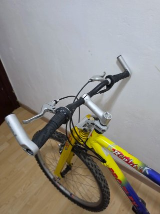 Bicicleta de montaña Proflex Reptile.