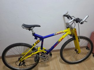 Bicicleta de montaña Proflex Reptile.