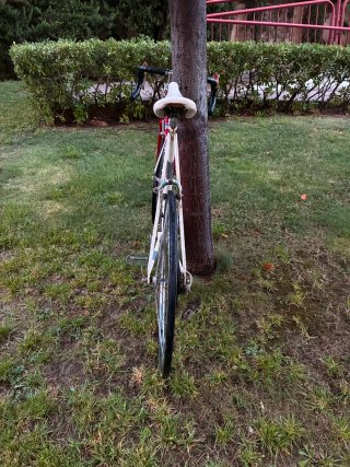 Bicicleta Carretera BH Vivace