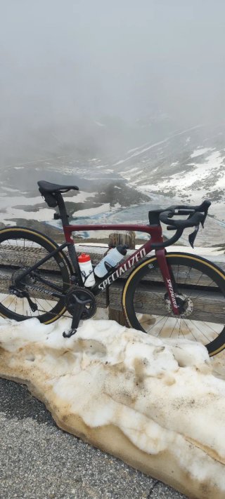 Specialized Tarmac SL7 Expert