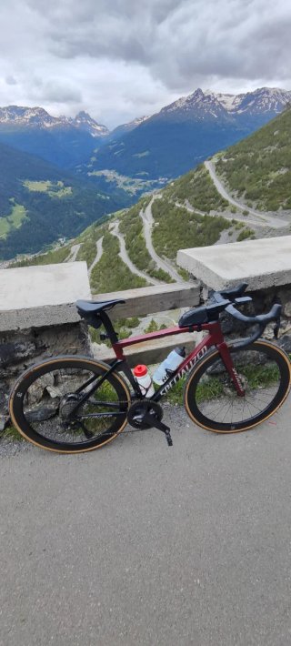 Specialized Tarmac SL7 Expert