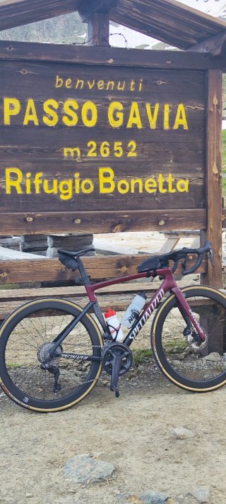 Specialized Tarmac SL7 Expert