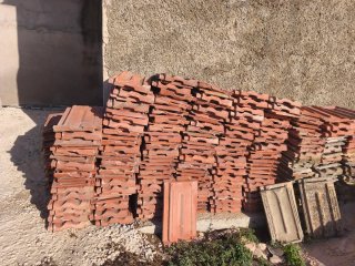 Teja Borja Alicante