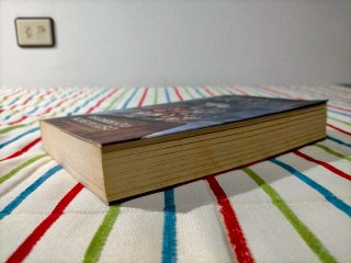 Regimiento monstruoso Una novela del Mundodisco
