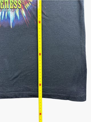 Vintage Graphic T-Shirt Santana Oneness 2025 Tour