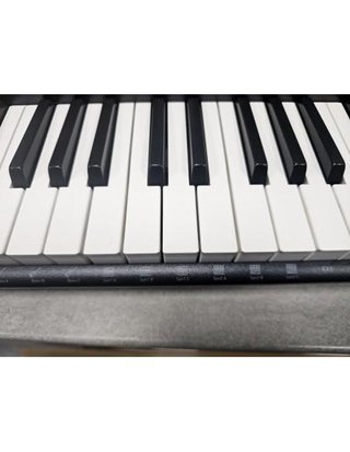 Teclado Casio Casiotone CT-S300 61 Teclas