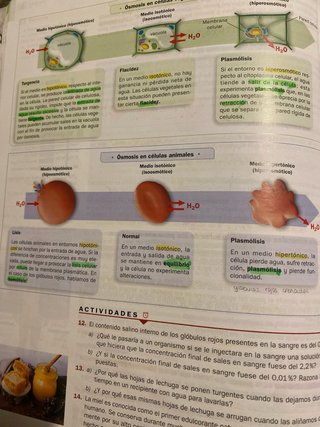 Biología 2o Bachillerato