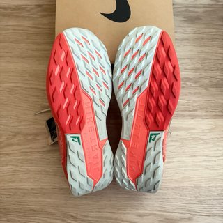 Nike Pegasus Trail 5 GTX Talla 46