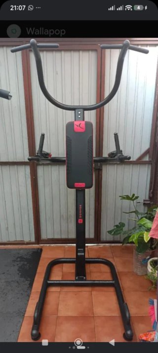Máquina de dominadas y fondos