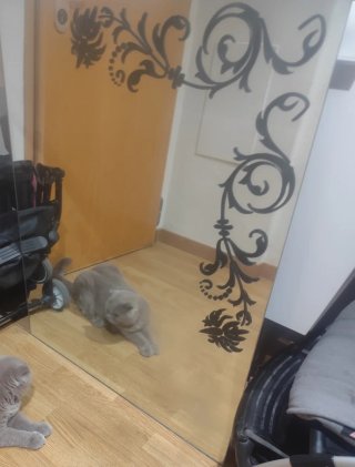 Espejo de baño con marco de madera