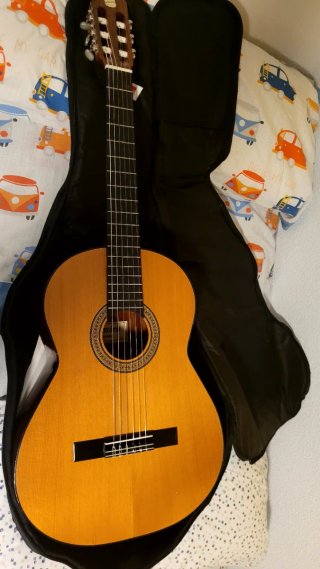 Guitarra Española + funda