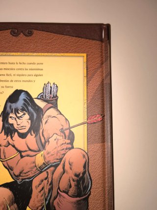 Tomos las crónicas de Conan.