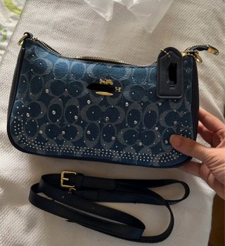 Bolso  Edición Especial Brillos