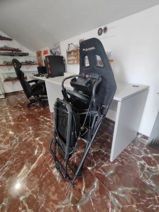 Playseat Challenge + Volante Logitech G920