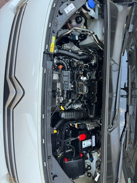 Citroën Berlingo 2022, foto 15