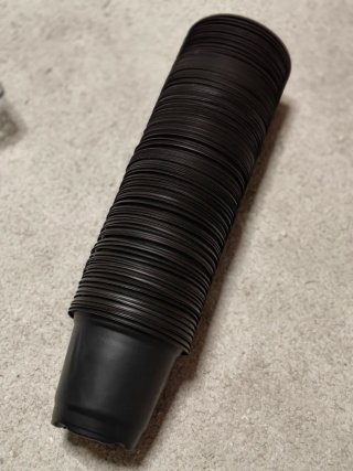 100 Vasos para Suculentas e Mudas