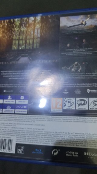 Hogwarts Legacy PS4 (PlayStation 4)