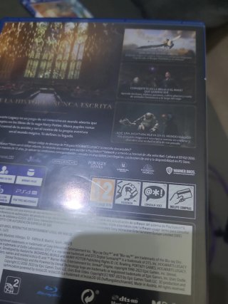 Hogwarts Legacy PS4 (PlayStation 4)