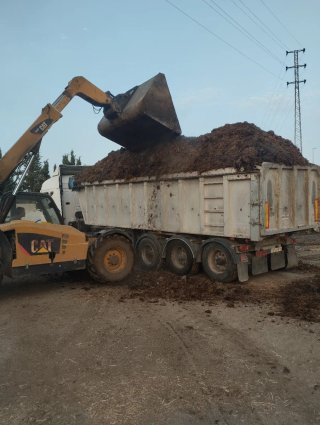 Estiércol para abono