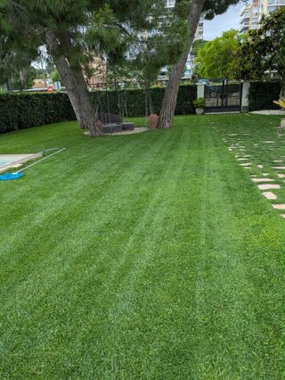 Ofrecemos servicios profesionales de jardinería.