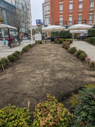 Ofrecemos servicios profesionales de jardinería.