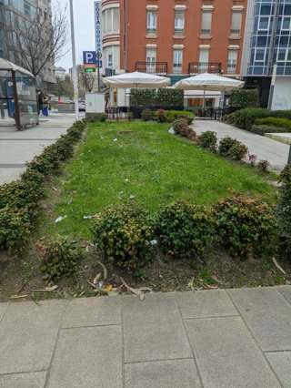 Ofrecemos servicios profesionales de jardinería.