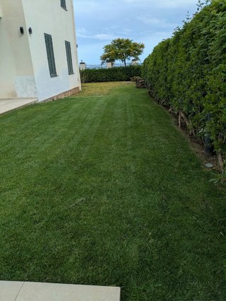 Ofrecemos servicios profesionales de jardinería.