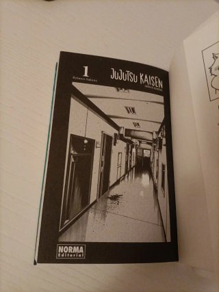 Jujutsu Kaisen 1