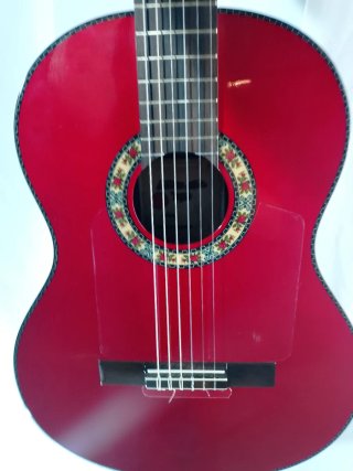 Guitarra Flamenca maciza autoamplificada
