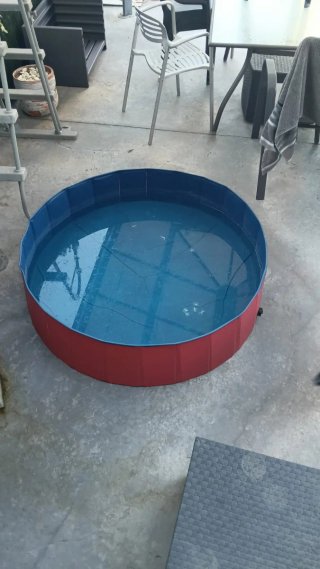Piscina para perros plegable