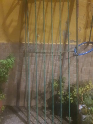Reja metálica verde