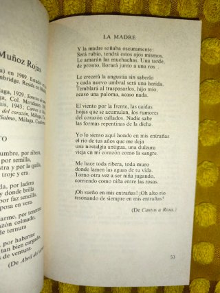 Lírica española de hoy