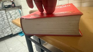 Diccionario Avanzado Primaria. Lengua española