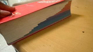 Diccionario Avanzado Primaria. Lengua española