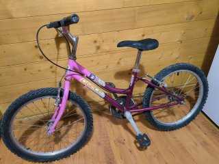 Bicicleta Niña 20" Rosa