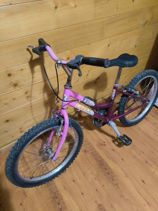 Bicicleta Niña 20" Rosa