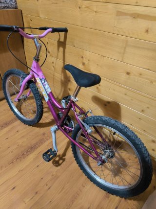 Bicicleta Niña 20" Rosa