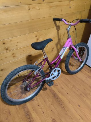 Bicicleta Niña 20" Rosa