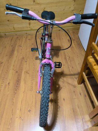 Bicicleta Niña 20" Rosa