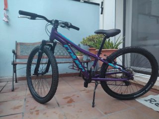 Bicicleta Morada COULER