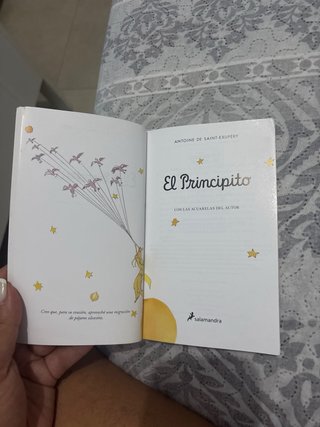 El Principito / The Little Prince