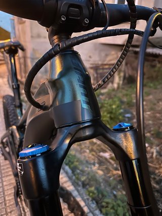 Giant Reign E+1 Eléctrica Montaña