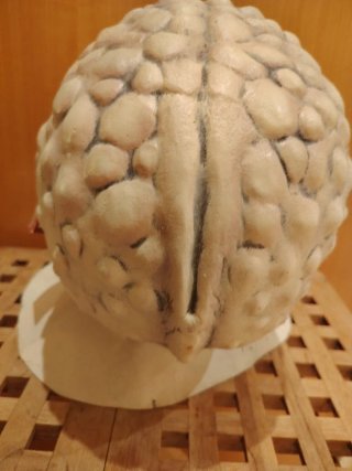 Máscara Cthulhu HP Lovecraft Terror