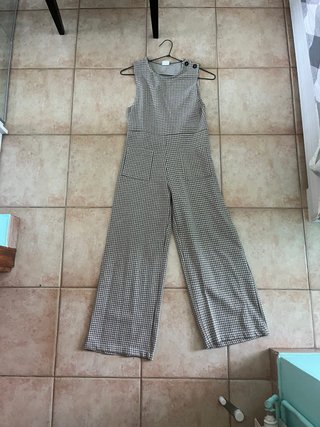 Mono de cuadros