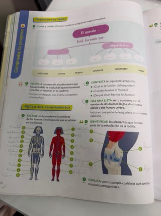 CIENCIAS DE LA NATURALEZA 5 PRIMARIA CONSTRUYEN...