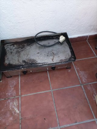 Plancha eléctrica profesional